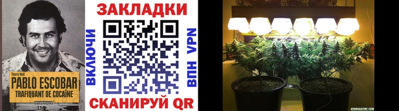 Купить наркотики Разумное Амфетамин  A-PVP  omg ссылка  Меф мяу мяу  Марихуана  ГАШ 