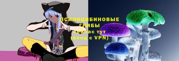 соль ск Балахна