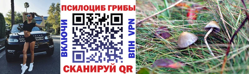 Галлюциногенные грибы Cubensis  как найти закладки  Разумное 